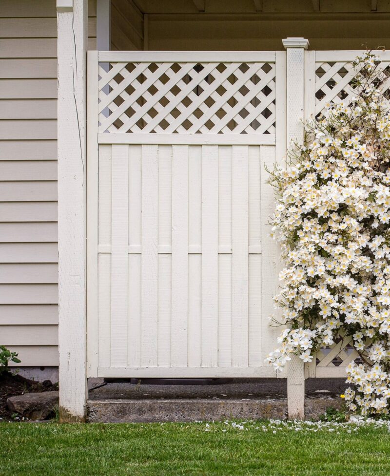 fence with beautiful vine flower climbing fence with beautiful vine flower climbing